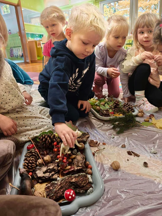 Jagódki zbudowały makietę lasu